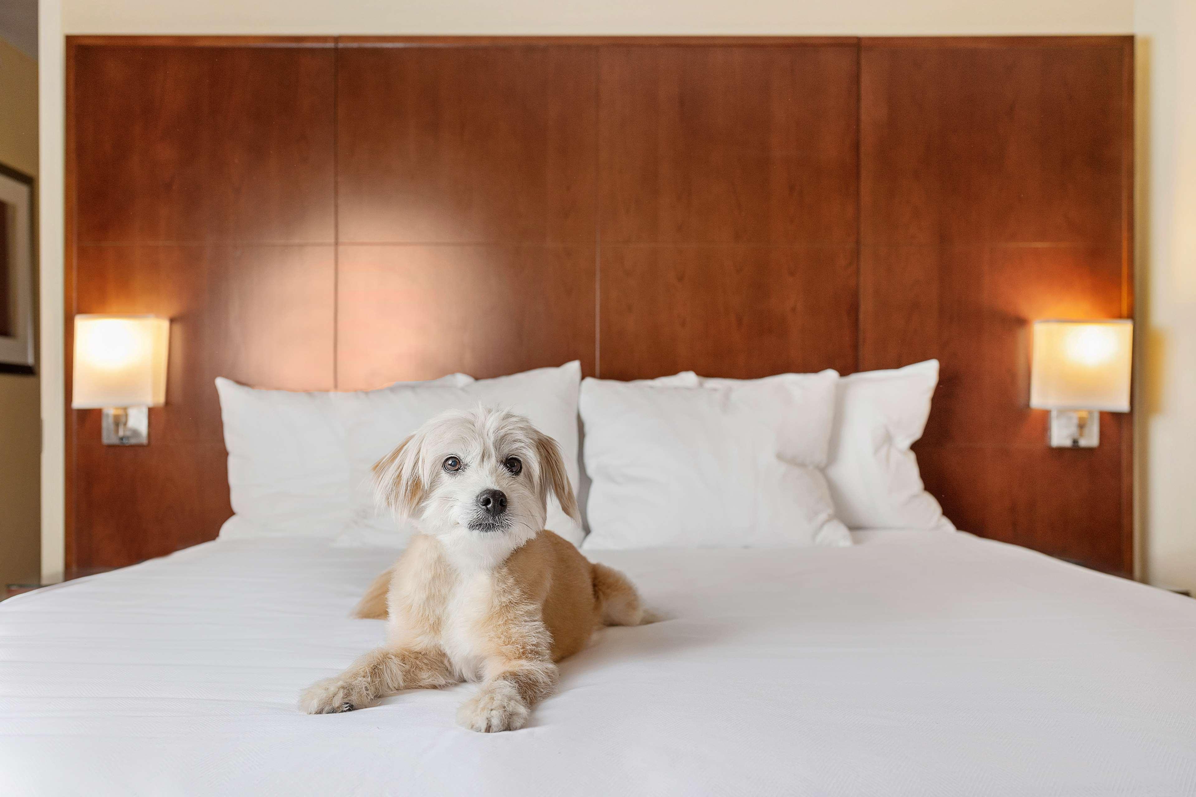 Hyatt Regency Houston Downtown Ξενοδοχείο Εξωτερικό φωτογραφία