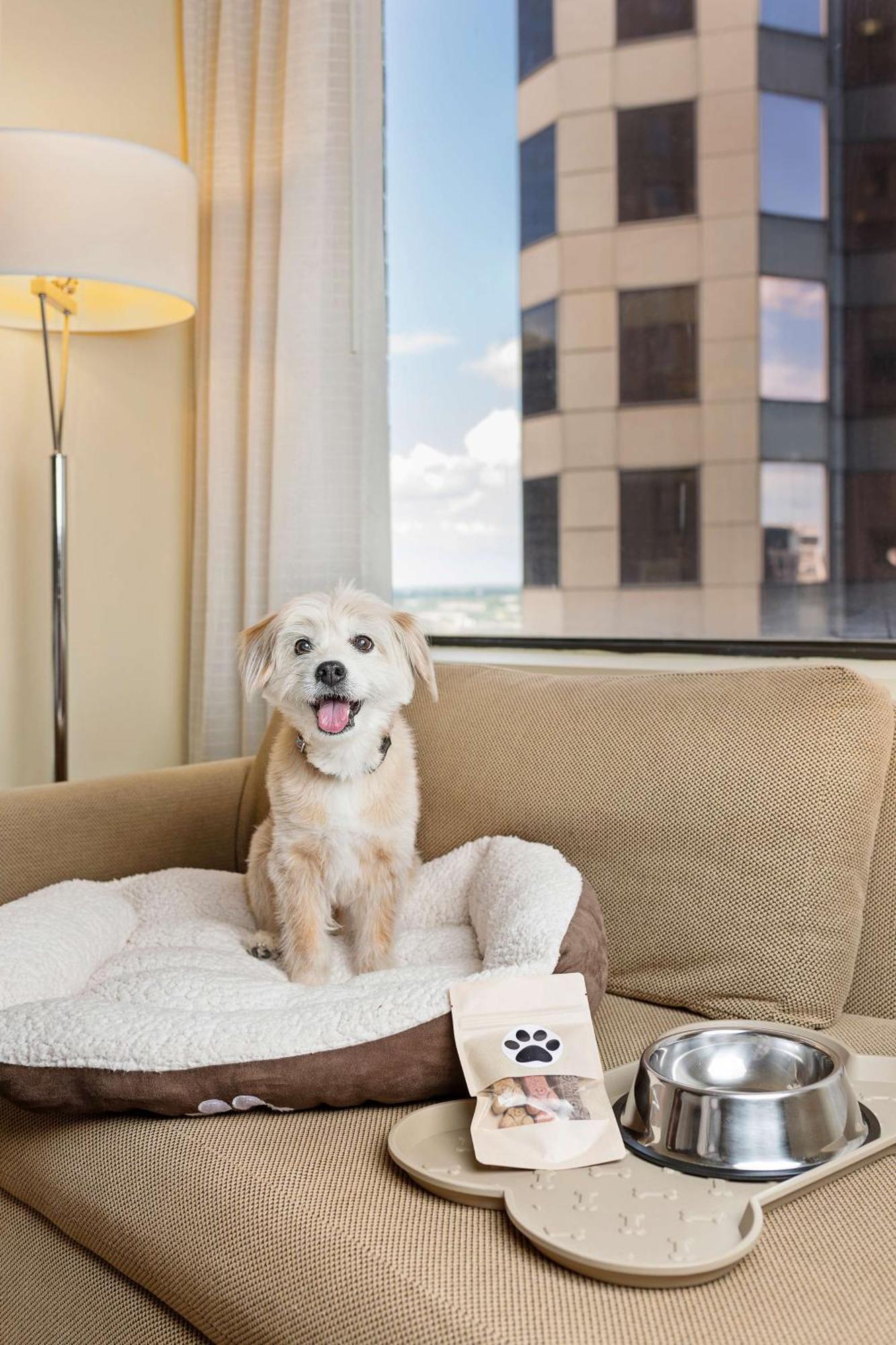 Hyatt Regency Houston Downtown Ξενοδοχείο Εξωτερικό φωτογραφία